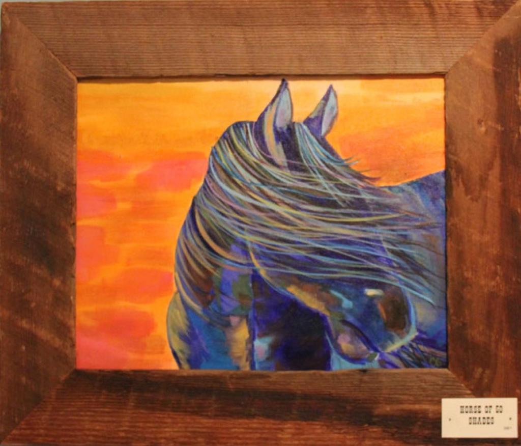 Horse of Fifty Shades